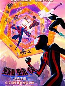 蜘蛛侠：纵横宇宙